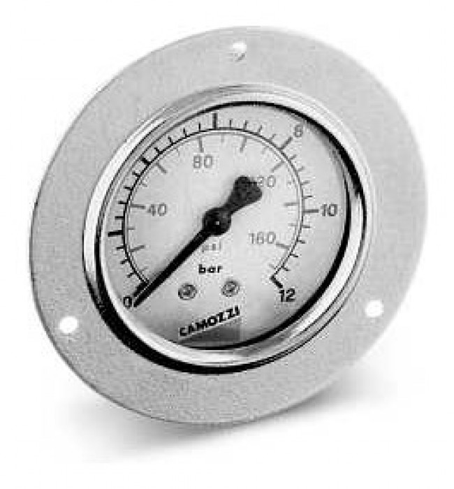 Pressure gauges for panel mounting